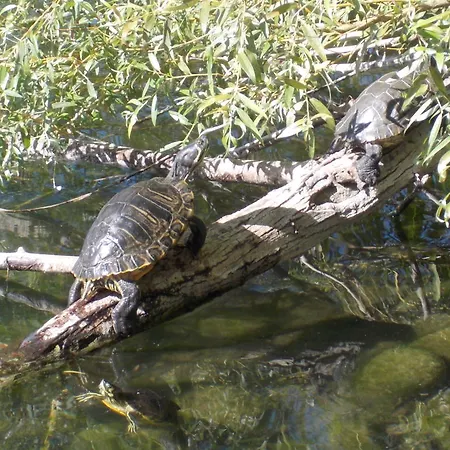 فندق Cascina Marchesa