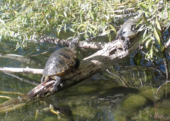 Hotel Cascina Marchesa